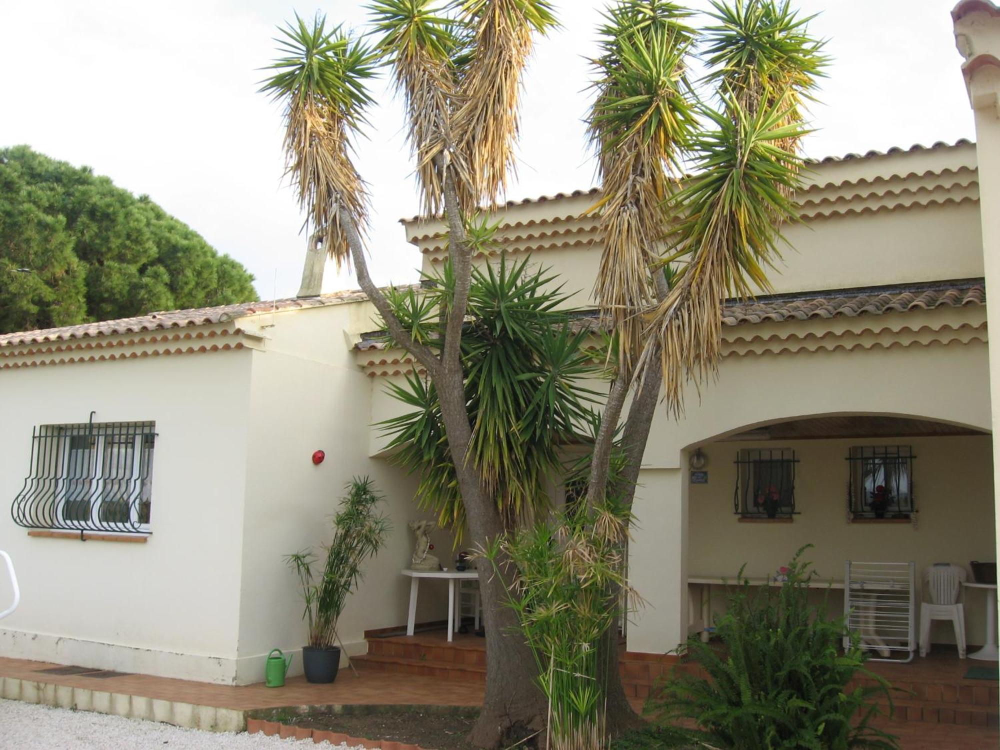 Apartment Rez De Chaussé